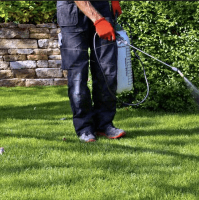 dog waste removal deodorizer spray peoria