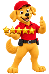 Reviews