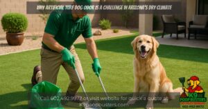 Why Artificial Turf Dog Odor Is a Challenge in Arizona’s Dry Climate