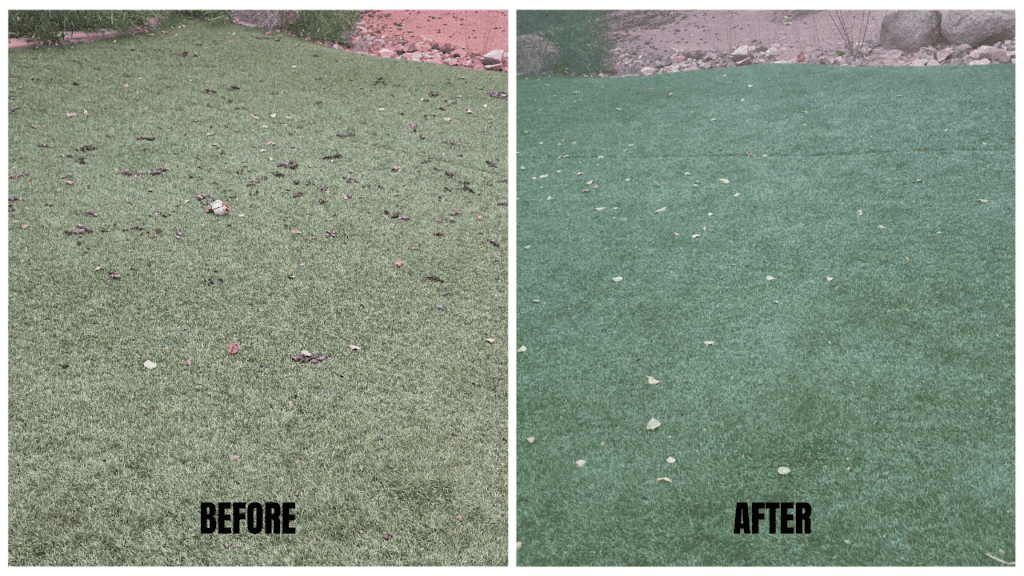 Before & After Cleanuo