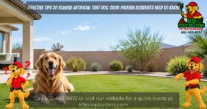 Effective Tips to Remove Artificial Turf Dog Odor Phoenix Residents Need to Know